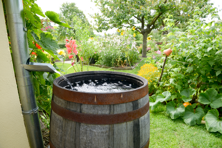 Hoe kan je slim omgaan met regenwater?