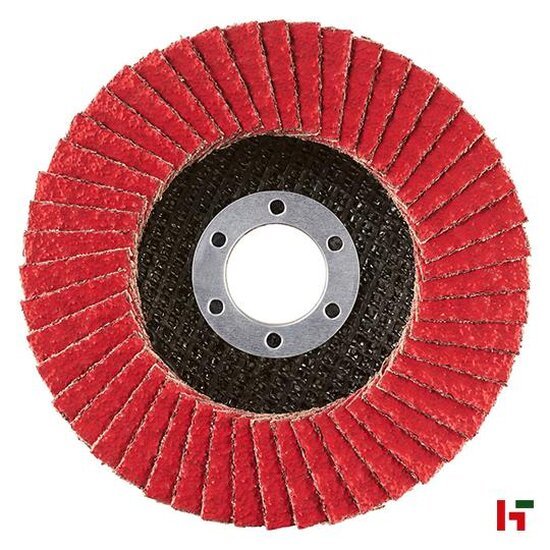 Schuren, vijlen & afsteken - Rhodius Lamellenslijpschijf, Jumbo Speed G Ø 125 mm P 60 - Rhodius