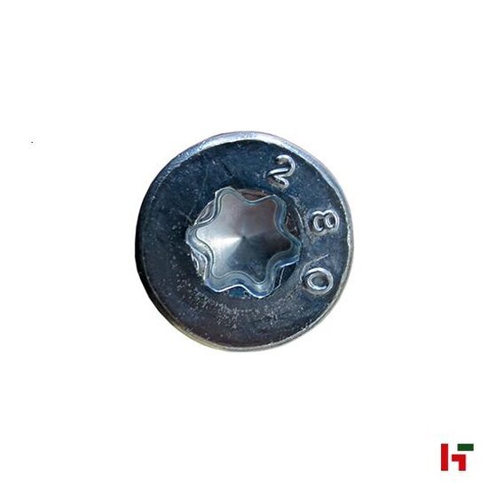 Constructiehout - Houtbouwschroeven met verzonken kop, Verzinkt staal 180 mm 6,0 mm TX30 - SWG