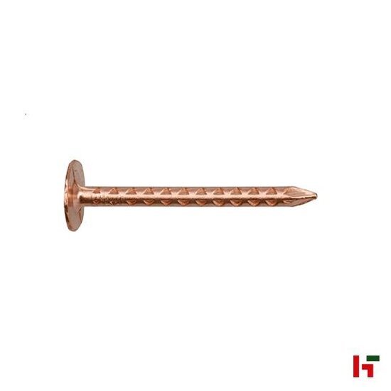 Nagels - Leisteennagels met platte kop (DIN 1160) , Thermisch verzinkt staal 35 mm Big Box - SWG