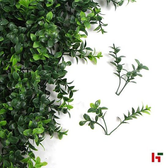 Groenwanden - Imitatie haagplanten, Foly Summer Buxus - Jivana