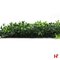 Groenwanden - Imitatie haagplanten, Foly Summer Buxus - Jivana