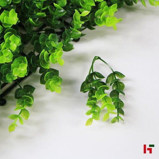 Groenwanden - Imitatie haagplanten, Foly Spring Buxus - Jivana