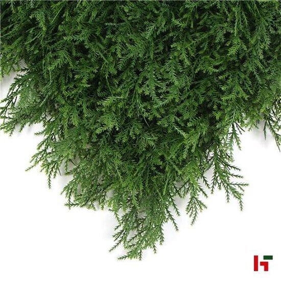 Groenwanden - Imitatie haagplanten, Foly Taxus - Jivana