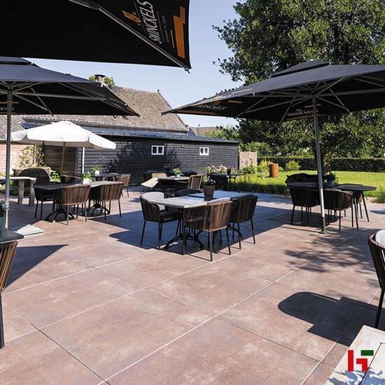 Gecoate betontegels - GeoProArte® Concert, Gecoate Terrastegel Tabacco 60 x 60 x 4 cm - MBI