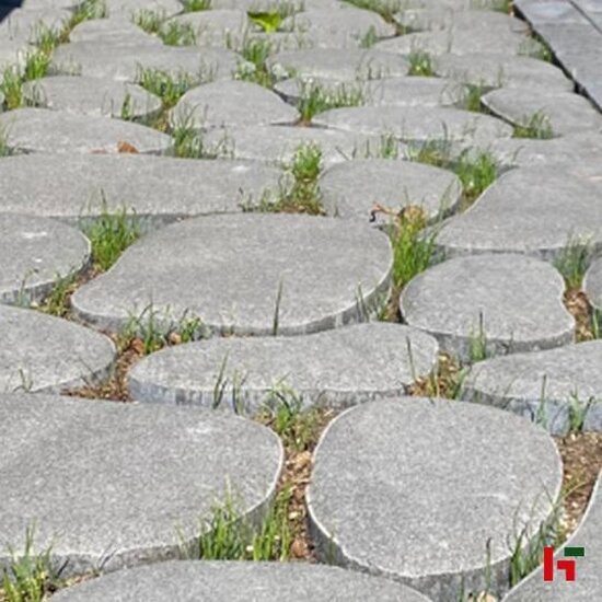 citta-klimata-grasbetontegel-cannobio-60-x-60-x-10-cm-hilfra