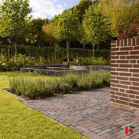 Kleiklinkers - Vandersanden Kleiklinkers, Terra Antica Ancona DF 204 x 67 x 60 mm - Vandersanden