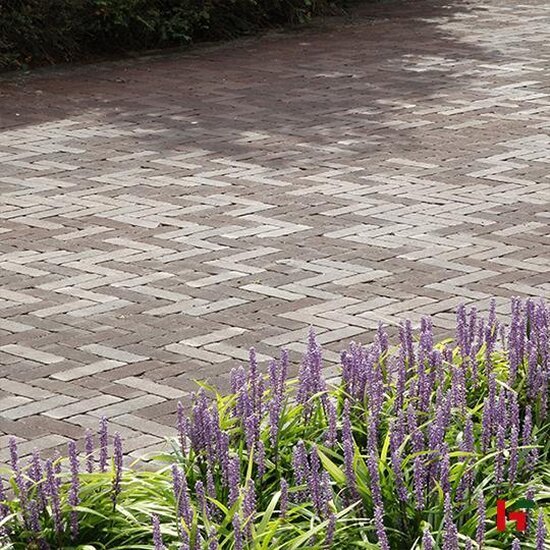 Kleiklinkers - SB Kleiklinkers, Getrommeld Bolton WF 200 x 48 x 60 mm - Stone Base