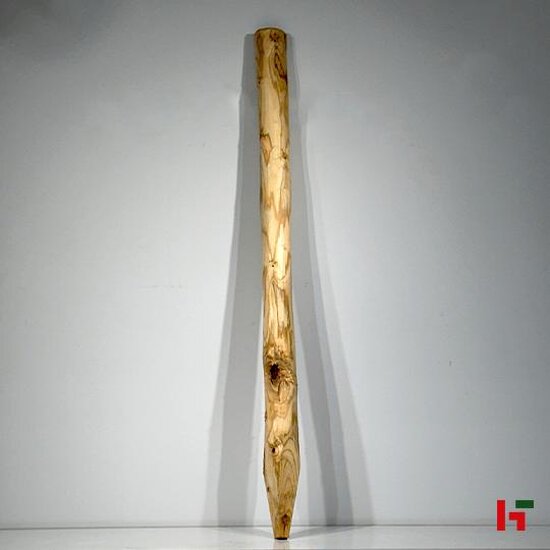 Houten schutting - Kastanjepaal 200 cm 6 / 8 cm