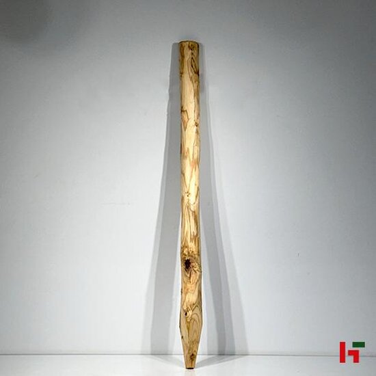 Houten schutting - Kastanjepaal 250 cm 6 / 8 cm