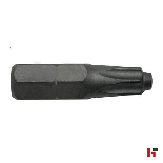 Sleutelen & schroeven - SWG Schroefbits 2 st TTap 25 Standaard - SWG