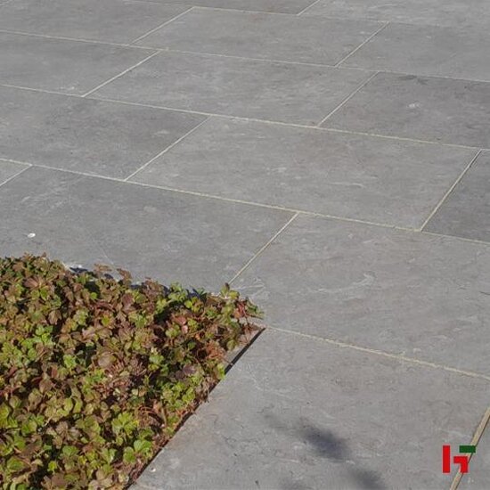 Natuursteentegels - Bluestone H51 Hardsteen, Natuursteen Terrastegel Antique look - Blauwsteen 100 x 50 x 3 cm - Private label