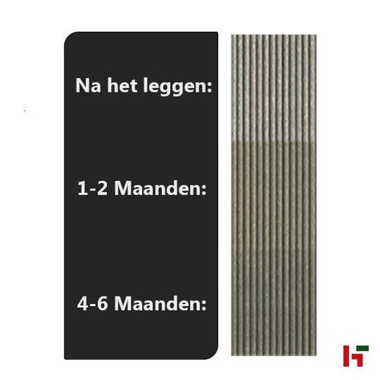 Composiet terrasplanken - Megawood, Classic 21x145mm - Composiet terrasplanken Basaltgrijs 360cm - Megawood