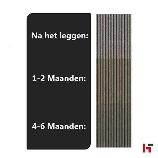 Composiet terrasplanken - Megawood, Classic 21x145mm - Composiet terrasplanken Leigrijs 480cm - Megawood