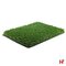 Kunstgras soorten - Kunstgras, Evergreen 400cm 40 mm - AGN Grass