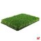 Kunstgras - Kunstgras, Evergreen 200cm 50 mm - AGN Grass