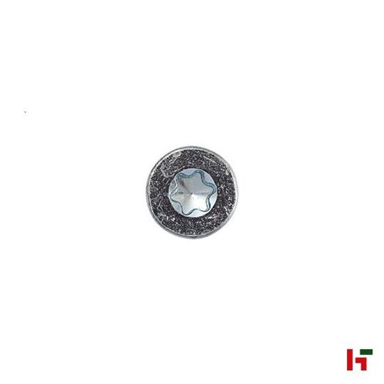 Schroeven - Spaanplaatschroef met verzonken kop, Verzinkt staal 30 mm Big Box 4,5 mm TX20 - SWG