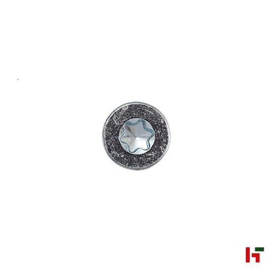 Schroeven - Spaanplaatschroef met verzonken kop, Verzinkt staal 30 mm Big Box 5,0 mm TX25 - SWG