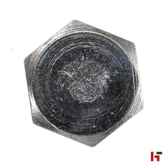 Schroeven - Houtschroef, Zeskantkop 100 mm Medium Box 10 mm Thermisch verzinkt staal - SWG