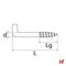 Schroeven - Schroefhaak, Recht 3,3 x 40 / 15 mm Medium Box Verzinkt staal - SWG