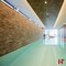 Steenstrips - Steenstrip Natural Toppolino 40 x 10 x 1 -2 cm - Bauma stone