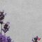 Keramische tegels - Loiret Saran 120 x 60 x 2 cm - Private label
