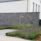 Steenstrips - Steenstrip Rock Lancy LL x 4 - 6 cm - Bauma stone