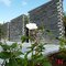 Steenstrips - Steenstrip Drystack (Per M2) Bayon 30 - 80 x 4 - 12 x 4 - 12 cm - Bauma stone