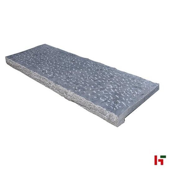 Zwembadboorden & vijverranden - Bluestone H55 Hardsteen, Natuursteen Zwembadboord - Blauwsteen 100 x 35 x 3 / 5 cm Recht Gekloven - Private label