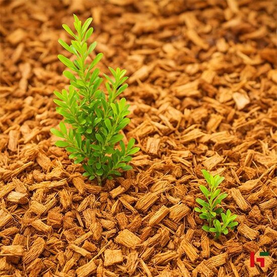 Groenaanleg - Bodemafdekking, Cocos Chips 12/24mm 12 / 24 Bigbag