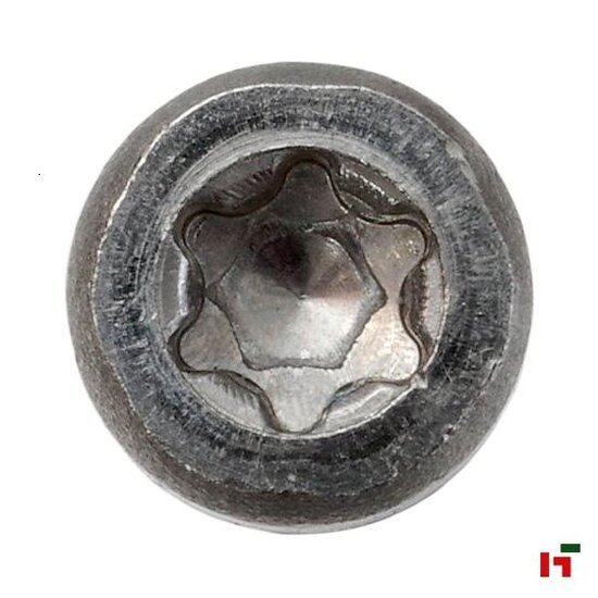 Schroeven - Terrasschroeven 45 mm Medium Box 5,5 mm HX20 A2 - SWG