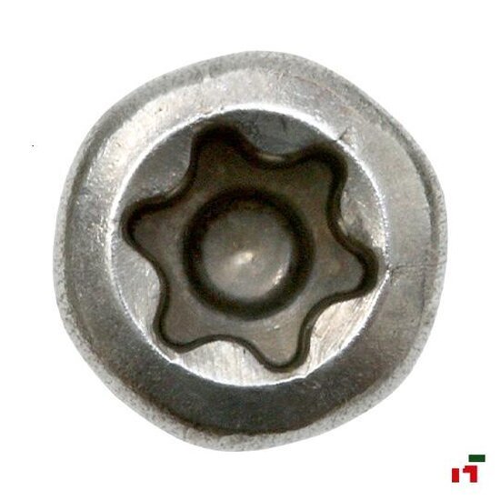 Schroeven - Terrasschroeven 50 mm Big Box 5,5 mm TTAP25 A2 - SWG