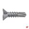 Schroeven - Zelfborende schroef, Verzinkt staal 22 mm 4,2 mm PH2 - SWG