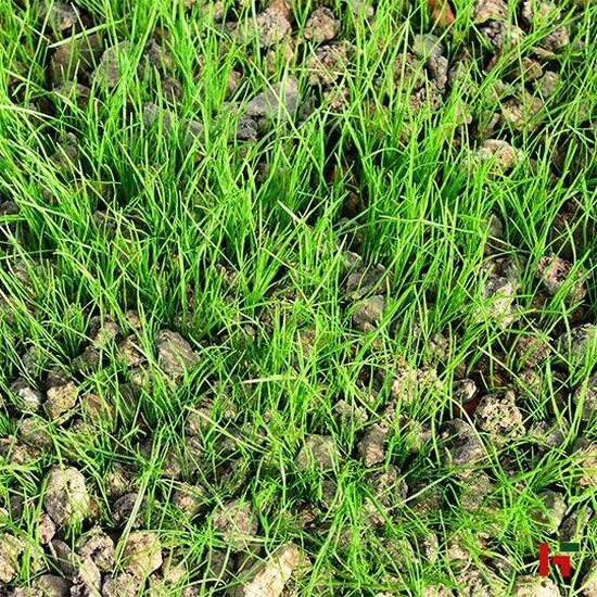 Groenaanleg - Grindgazonsubstraat, TerraViva Grindgazon met gras Bigbag