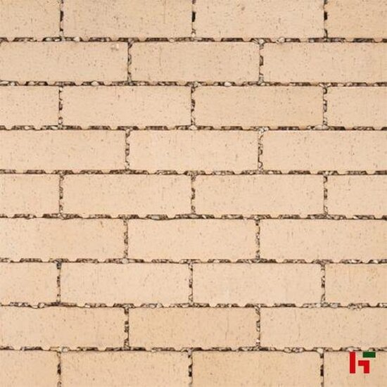 Kleiklinkers - Terca Waterpasserende Kleiklinker, Passaqua Alba 18,9 x 5,9 x 6 cm - Wienerberger