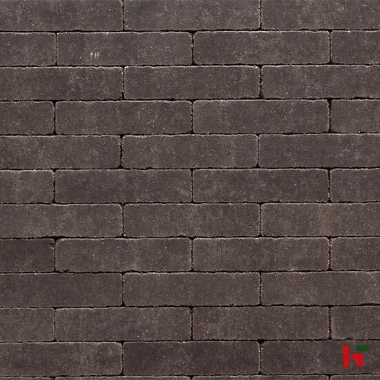 Betonklinkers - Cassaia + Turf Intense 30 x 20 x 6 cm - Stone & Style