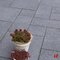 Betontegels - Rockstone, Multiformaat Diamond Intense Mega Matrix x 6 cm - Stone & Style