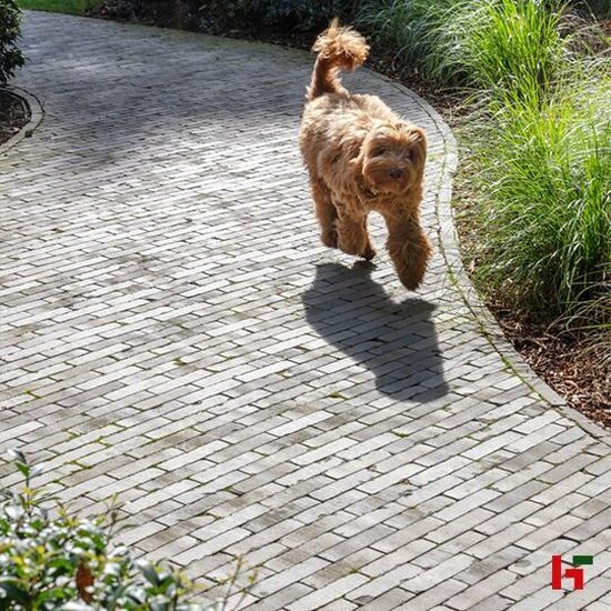 Kleiklinkers - Terca Kleiklinkers, Trendline Lotis UWF 200 x 50 x 60 mm Getrommeld - Wienerberger