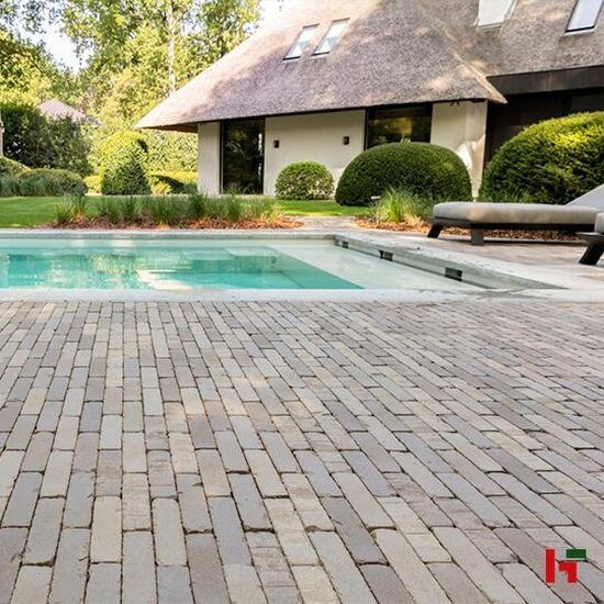 Kleiklinkers - Terca Kleiklinkers, Trendline Lotis UDF 200 x 65 x 60 mm Getrommeld - Wienerberger