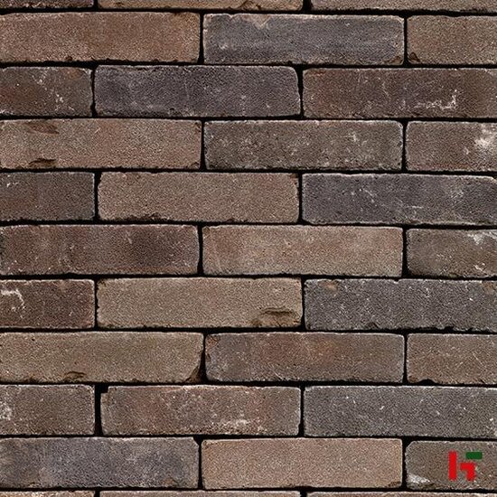 Kleiklinkers - Terca Kleiklinkers, Oud Hollands Oud Maastricht (Pastorale) UWF 201 x 49 x 61 mm - Wienerberger