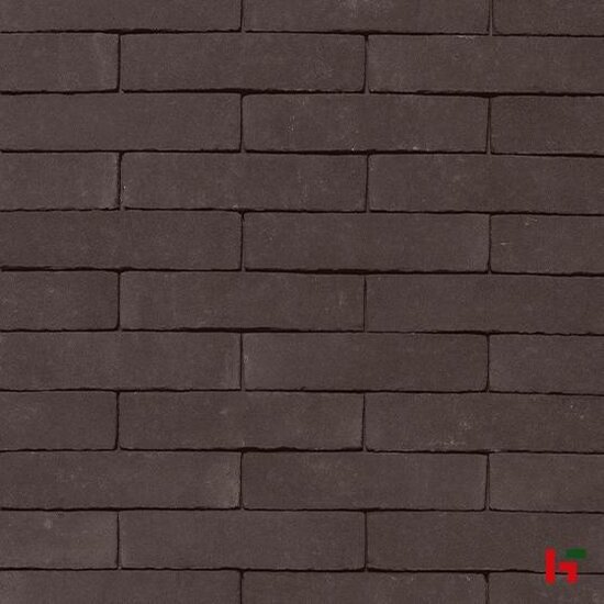 Kleiklinkers - Terca Kleiklinkers, Arte Nero WDF 201 x 67 x 82 mm - Wienerberger