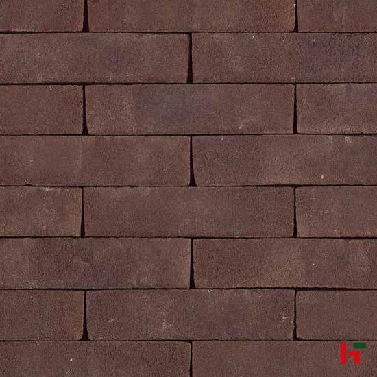 Kleiklinkers - Terca Kleiklinkers, Arte Omber WF 201 x 49 x 82 mm - Wienerberger