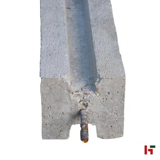 Betonschutting - Betonpaal met pin Grijs Tussenpaal 310 / 240 cm - Private label