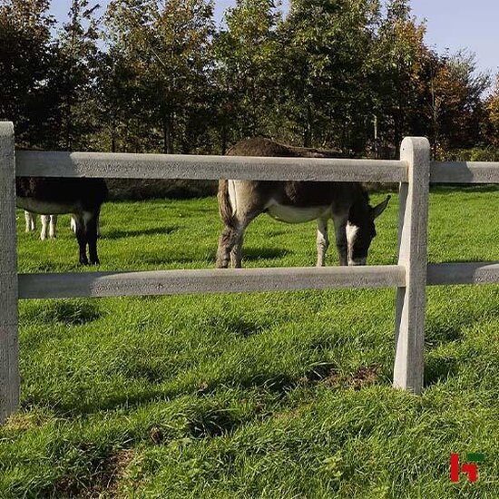 Betonschutting - Betonpaal voor normandische afsluiting Grijs Tussenpaal voor 1 balk en 1 plaat 40 cm 150 x 14 x 10 cm - Private label